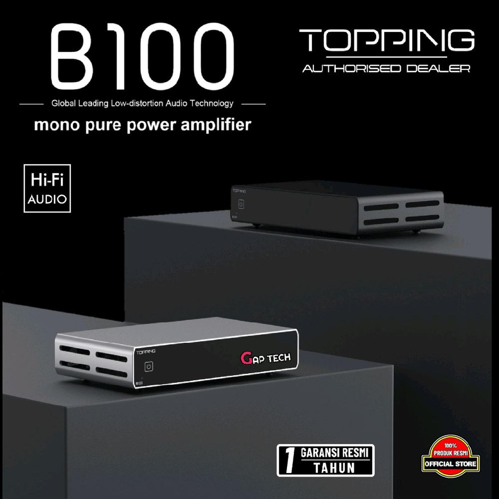 Topping B100 / B 100 / B-100 Mono Pure Power Amplifier Original