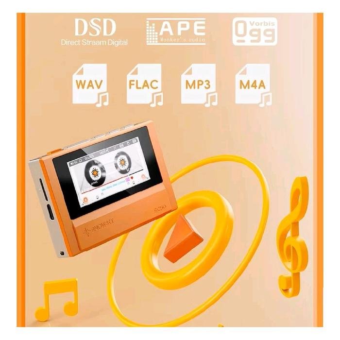 Fiio Snowsky ECHO Portable High-Resolution Lossless Music Player Original