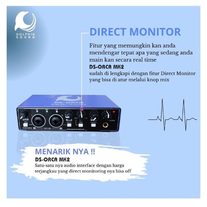 Dolphin Sound DS ORCA MK2 Audio Interface / Soundcard Recording Original