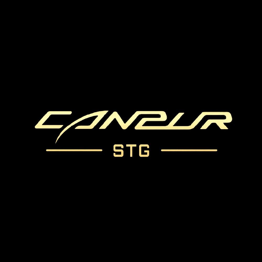 Canpur Stage Series Stage 44E / Stage44E / Stage 44 E / STG44E / STG 44E - 4BA + 4EST Professional In-Ear Monitors Earphone / IEM Original