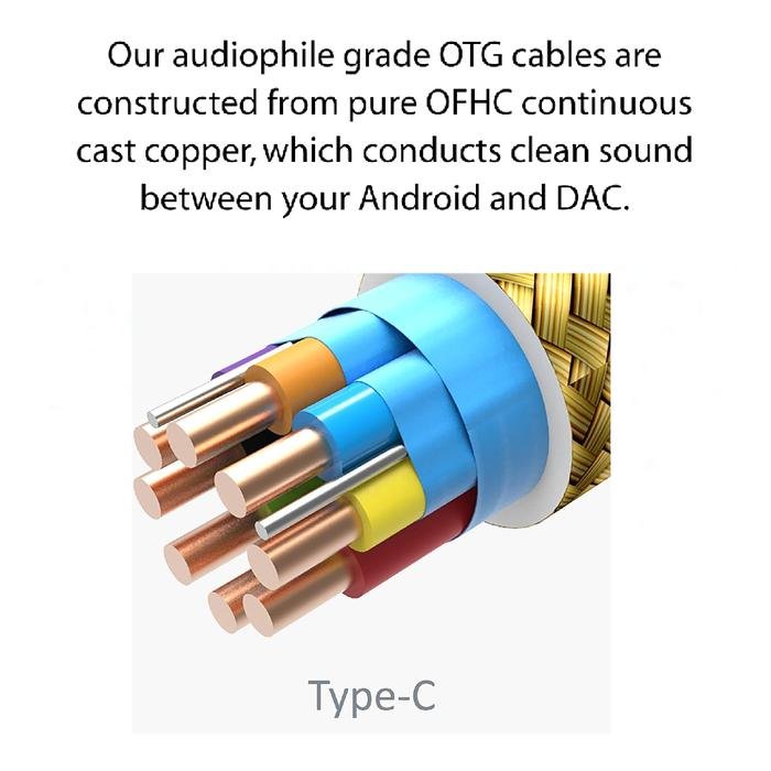 iFi Type C On The Go / OTG Cable / Adapter Original