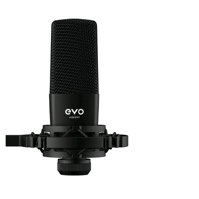 Evo Audient SR1 / Evo SR1 / SR-1 / SR 1 Large Diaphragm Condenser Microphone With Shock Mount + XLR Cable / Microphone Original