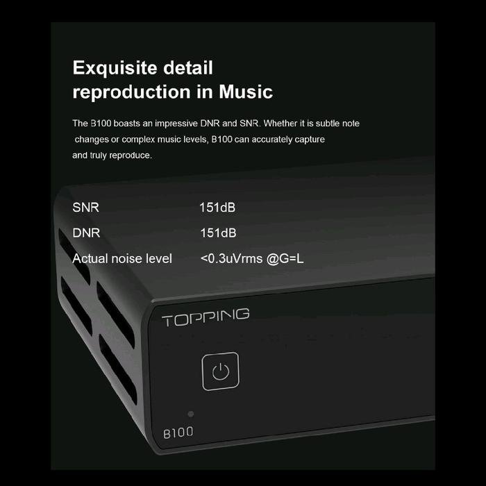 Topping B100 / B 100 / B-100 Mono Pure Power Amplifier Original