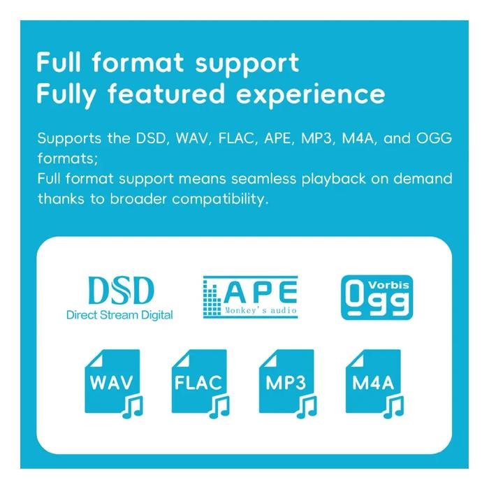 Fiio SnowSky Echo Mini Portable Hi-Res Lossless Pure Music Player / Digital Audio Player / DAP Original