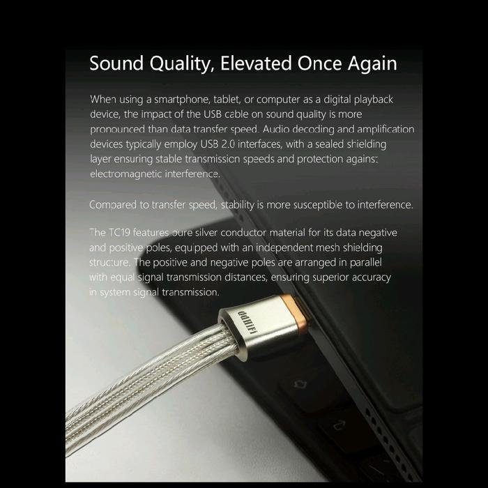 DD DDHIFI Comet TC19CC / TC19 CC / TC 19 CC / TC 19CC Flagship Pure Silver Digital Signal USB C to USB C OTG Cable Original