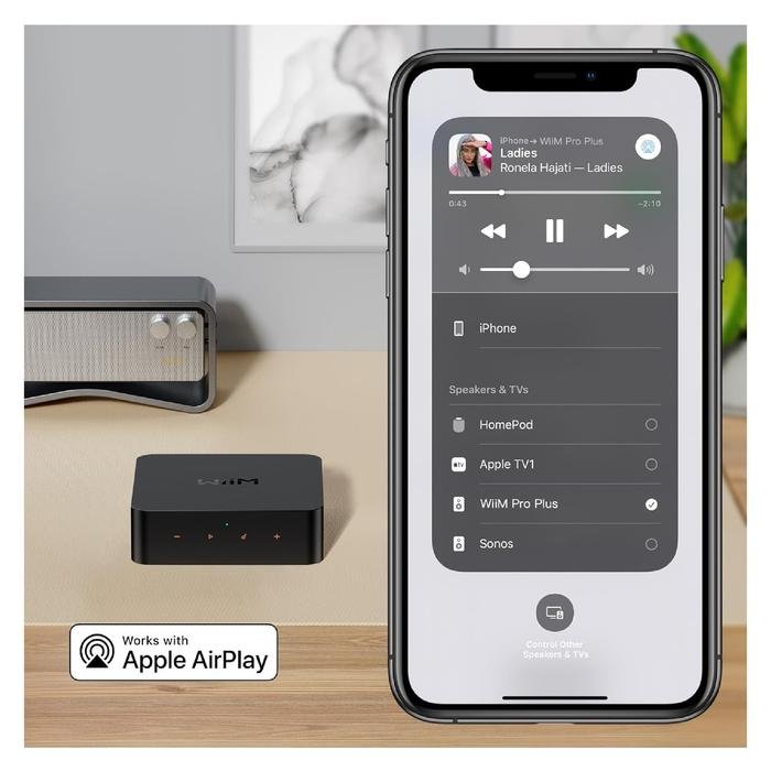 Wiim Pro Plus / Pro + Hi-Res Music Streamer with Premium AKM DAC Original