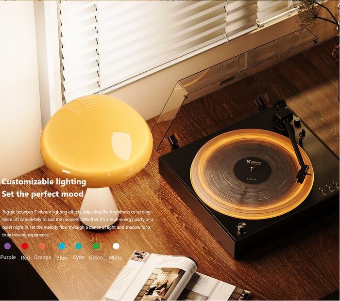 Fiio TT11 / TT 11 Fully Automatic Turntable Original