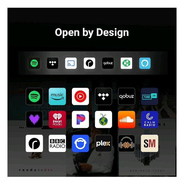 Wiim Sound Hi-Res Smart Streamer Active Speaker Original