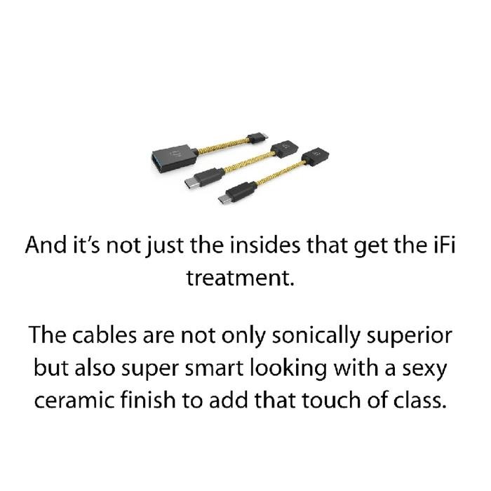 iFi Type C On The Go / OTG Cable / Adapter Original