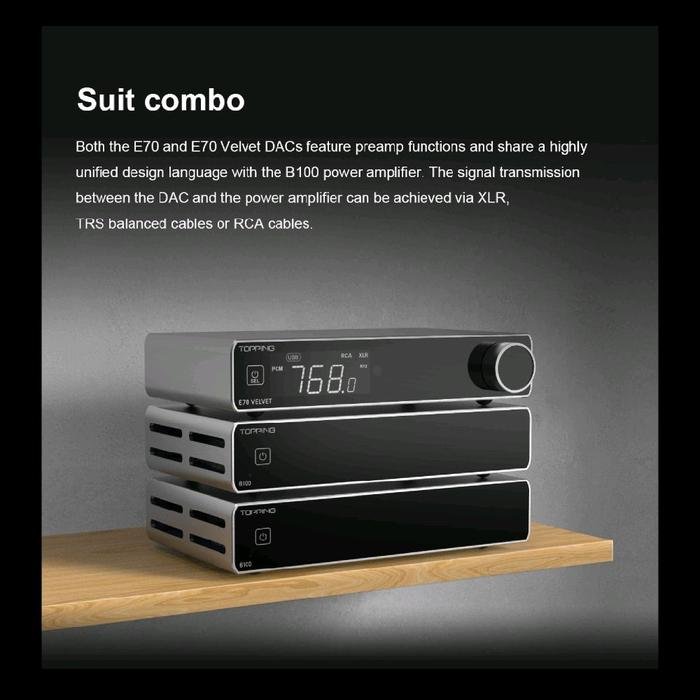 Topping B100 / B 100 / B-100 Mono Pure Power Amplifier Original