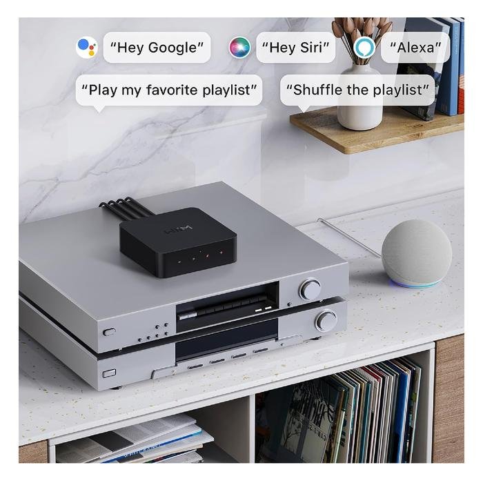 Wiim Pro Plus / Pro + Hi-Res Music Streamer with Premium AKM DAC Original