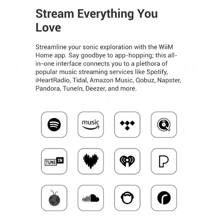WiiM Ultra Music Streamer & Digital Preamp with Touch Display Original
