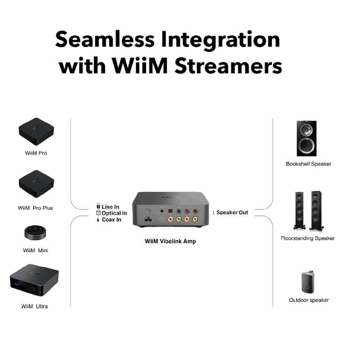 WiiM Vibelink Amp Premium Power Amplifier with Premium ESS 9039Q2M DAC and TI TPA3255 - Amplifier Original