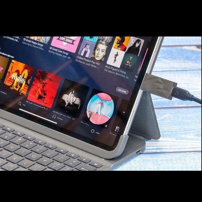 iFi iSilencer + / Plus USB 3.0 USB Noise Filter with ANC Original