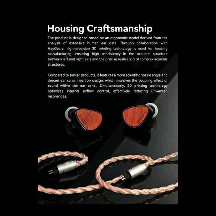 Arisyn Huo Shu HuoShu 10mm LCP Composite Diaphragm Dynamic Driver IEM In Ear Monitor Earphone Original
