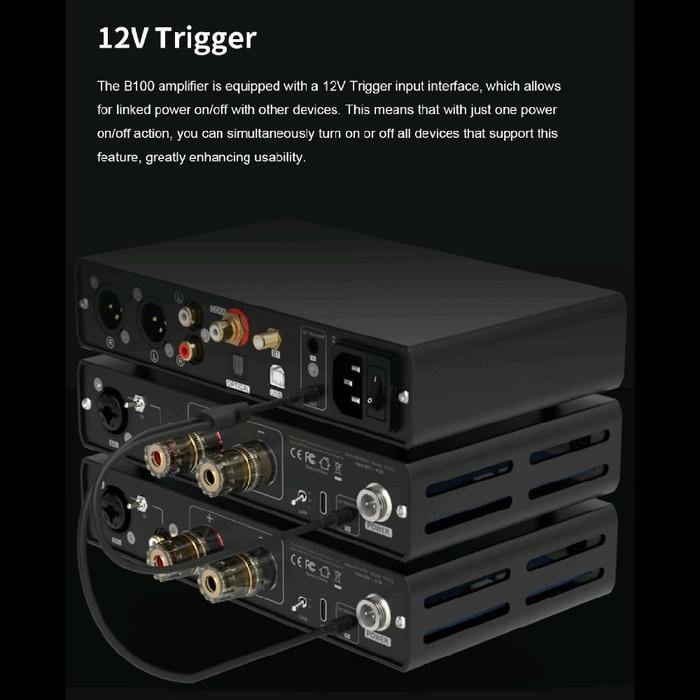 Topping B100 / B 100 / B-100 Mono Pure Power Amplifier Original