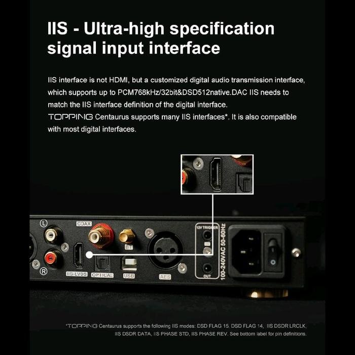 Topping x Holo Audio Centaurus Fully Balanced High Performance R2R DAC Original