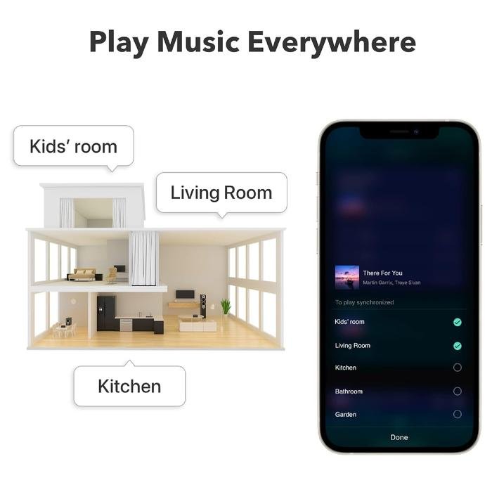 Wiim Pro Plus / Pro + Hi-Res Music Streamer with Premium AKM DAC Original