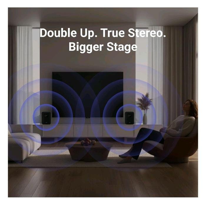 Wiim Sound Hi-Res Smart Streamer Active Speaker Original