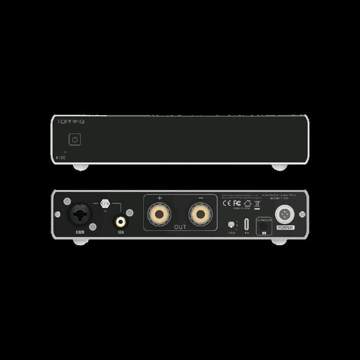 Topping B100 / B 100 / B-100 Mono Pure Power Amplifier Original