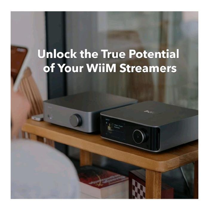 WiiM Vibelink Amp Premium Power Amplifier with Premium ESS 9039Q2M DAC and TI TPA3255 - Amplifier Original