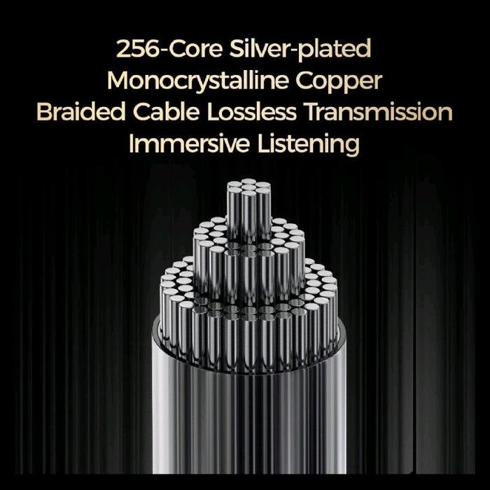 LETSHUOER DX1 / DX-1 / DX 1 - 11mm Single Dynamic Driver Hi-Fi In Ear Monitor Earphone with Detachable silver-plated monocrystalline copper cable for Musician Audiophile Singer / IEM Original