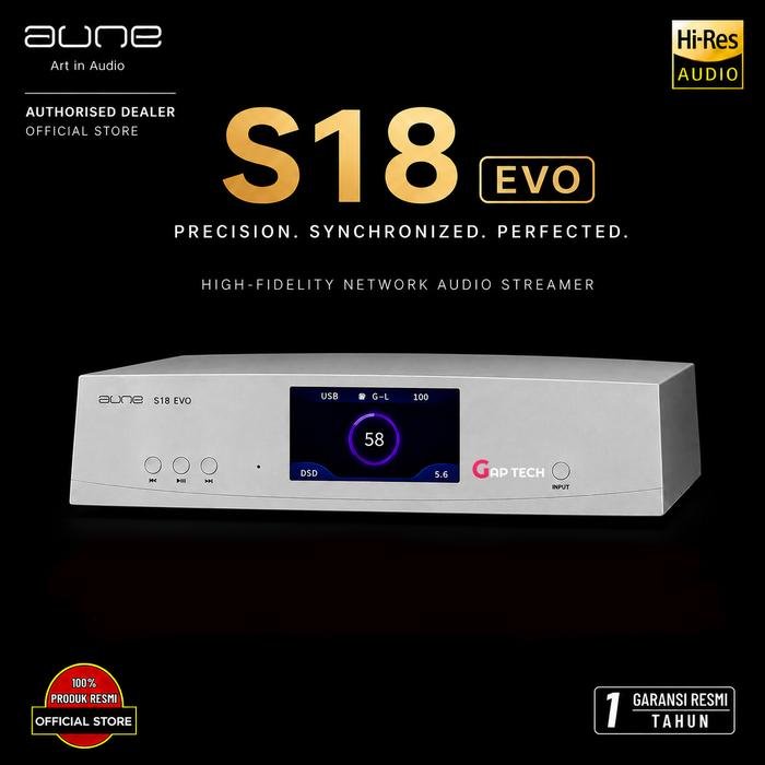 Aune S18 EVO Refrence Digital To Analog Converter DAC Original - Silver